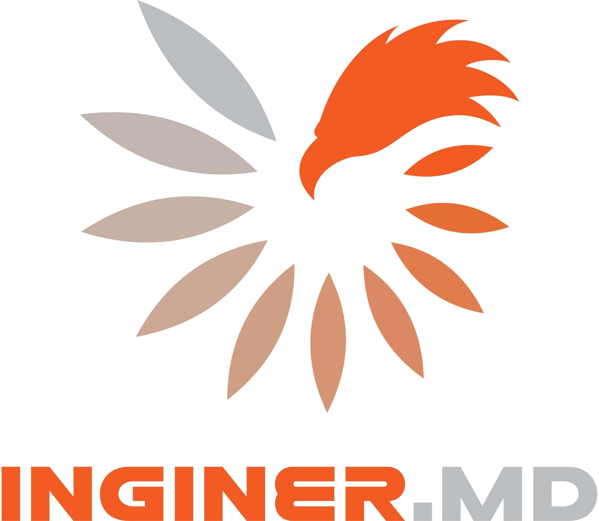 Rebranding in INGINER.MD